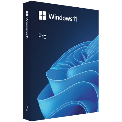 Microsoft Win Pro N 11 64-bit All Languages Online Product Key License 1 License Downloadable ESD NR