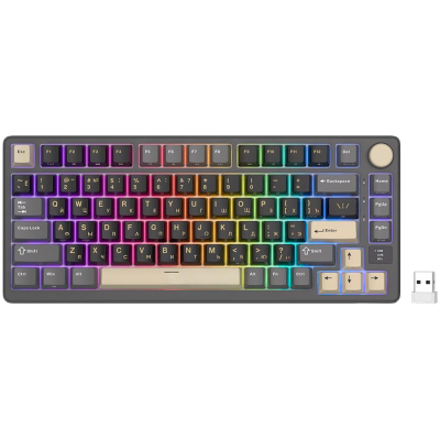ROYAL KLUDGE RK-M75 Phantom Gaming Keyboard K Silver switch
