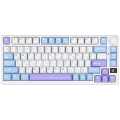 ROYAL KLUDGE RK-M75 Taro Milk Gaming Keyboard K Silver switch