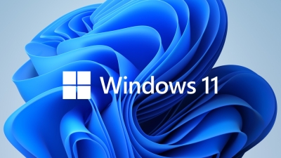 Програмен продукт с лицензен стикер Microsoft Windows 11 Home 64Bit Bulgarian 1pk DSP OEI DVD