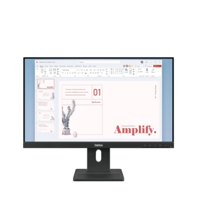Монитор Lenovo ThinkVision E24-40 - 23.8" IPS, WLED, 1920x1080, 16:9, 4ms, 100Hz, 2Wx2