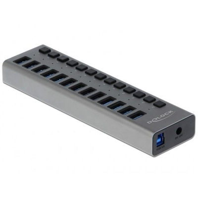 USB hub Delock, 13 x USB-A, 1 x USB-B, 5 Gbps, Switches, LED indicator, Gray