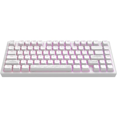 Dark Project ALU81A Terra Nostra White RGB