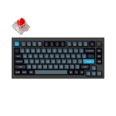 Keychron Q1 Pro Black-Blue QMK TKL K Pro Red Switch RGB LED PBT