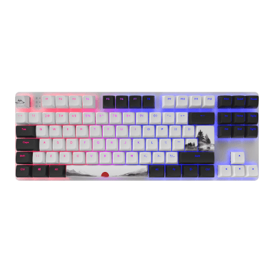 Клавиатура Dark Project 87 Fuji RGB TKL - G3MS Sapphire Switches, ABS