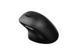 RAPOO M50 Plus silent  Безжична безшумна оптична мишка, черна, 2.4Ghz