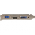 MSI Video Card NVidia N210-1GD3/LP (GF210, 1GB GDDR3 64bit, PCI Express x16 2.0, DVI, HDMI, D-SUB)