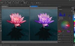 Софтуер CorelDRAW Graphics Suite Enterprise License (incl. 1 Yr CorelSure Maintenance)(1-10)