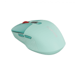 CANYON mouse MW-26 LCD Silent Dual Mode Wireless Green
