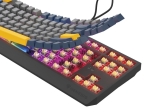 Клавиатура Genesis Gaming Keyboard Thor 230 TKL Naval Blue Negative US RGB Mechanical Outemu Panda
