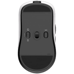 ROYAL KLUDGE M3 Panda Gaming Mouse PAW 39508K