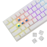 White Shark геймърска механична клавиатура Gaming Mechanical Keyboard WAKIZASHI 2 - Blue Switches (English US), White