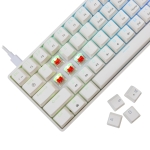 White Shark геймърска механична клавиатура Gaming Mechanical Keyboard SHINOBI 2 - YUSYA 5P Red Switches (English US), White