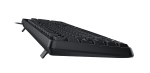 Genius клавиатура кирилизирана Smart Keyboard KB-117 Black - AI, BG Layout, USB
