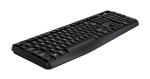 Genius клавиатура кирилизирана Smart Keyboard KB-117 Black - AI, BG Layout, USB