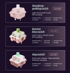 VGN професионална безжична геймърска механична клавиатура Wireless Professional Gaming Mechanical Keyboard - V87 PRO Side Engraving - Aniya Switches