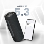 Тонколони HiFuture Alpha Black, Bluetooth 5.3, IPX7 Waterproof, 20W Output, Pair to Play (TWS Mode), Up to 12 Hours Playtime, Built in 2-in-1 Amplifier
