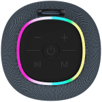 CANYON speaker BSP-8 10W Gray