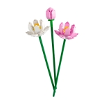 LEGO Botanicals - Lotus Flowers 40647