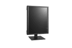 LG 21.3 2048x1536 <100Hz IPS 30ms 4:3 DVI-D DP USB