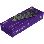 LORGAR Azar 514TKL, Wired RGB mechanical gaming keyboard, black, EN layout