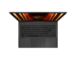 MSI RAI9_300 32G RTX5070TI 2TB_SSD 16 QHD+ 240HZ WIN11_HOME M2 PCI-E BLACK BACKLIT