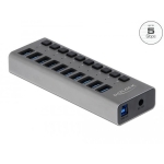 USB hub Delock 10 x USB-A, 1 x USB-B, 5 Gbps, Switches, LED indicator, Gray