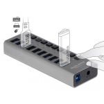 USB hub Delock 10 x USB-A, 1 x USB-B, 5 Gbps, Switches, LED indicator, Gray