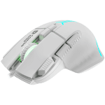 CANYON Fortnax GM-636, White