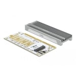 Delock card PCI Express x16 (x1 / x4 / x8) for M.2 NVMe M.2 Key M, RGB LED
