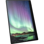 RICOH 150BW, OLED, 16 inch 1920x1080 60Hz, 715g, USB-C, Li-Ion 3740mAh