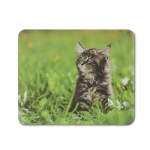 Hama Animal mousepad, 12 items