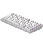 Dark Project ALU81A Terra Nostra White RGB