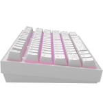 Dark Project ALU81A Terra Nostra White RGB