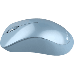 CANYON Wireless Mouse MW-11 - Blue