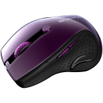 Canyon Wireless Mouse MW-01 - Purple