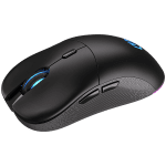 Endorfy GEM Plus Wireless