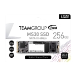 Team Group MS30 256GB M.2 2280 SSD
