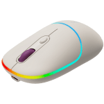 CANYON MW-22 - Rice