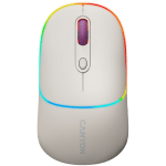 CANYON MW-22 - Rice