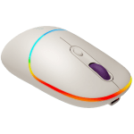 CANYON MW-22 - Rice