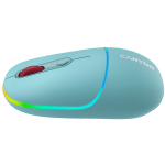 CANYON MW-22 - Dark Cyan