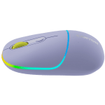 CANYON MW-22 - Mountain Lavender