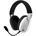 CANYON Ego GH-13, White